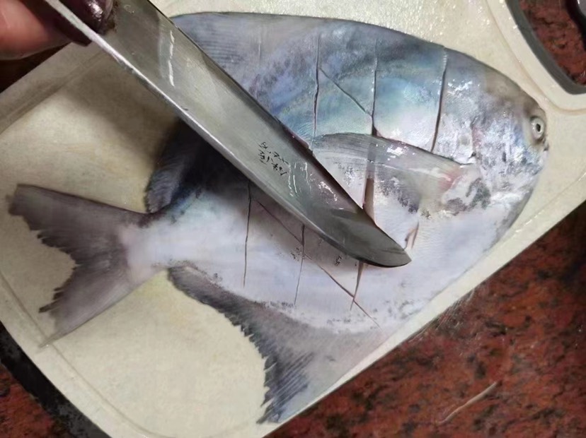 深海斗鲳鱼 白仓肉昌银鲳鱼 海捕平鱼扁鱼镜鱼白鲳肉鲳