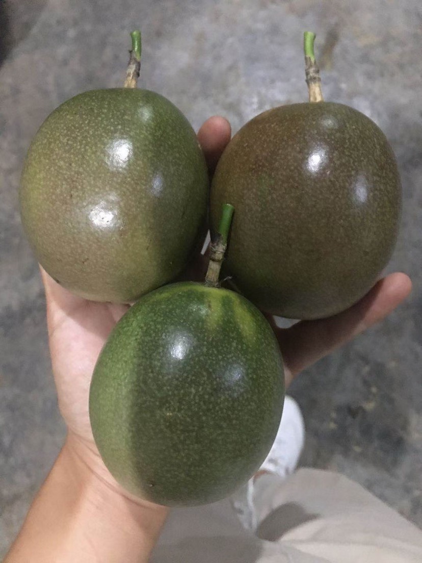 多鮮果業(yè)