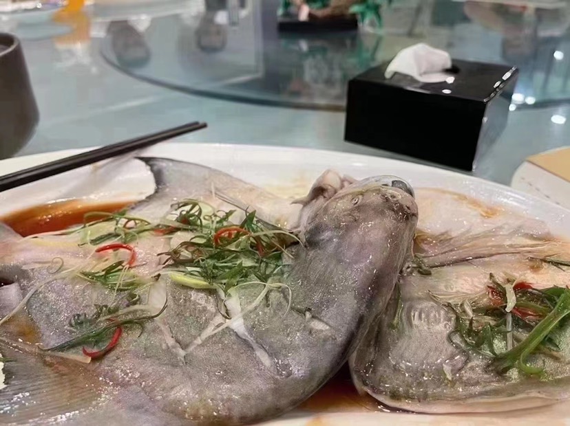 深海斗鲳鱼 白仓肉昌银鲳鱼 海捕平鱼扁鱼镜鱼白鲳肉鲳
