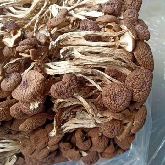 邵武市精品茶菇