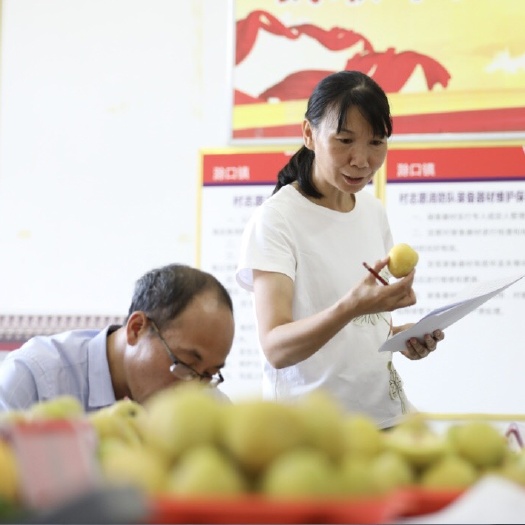资兴市黄金奈李