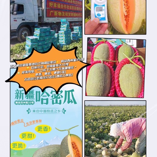 太原山西省配送新疆哈密瓜精品，一箱4个一箱20斤