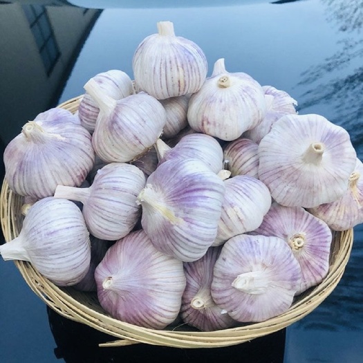 杞县一件代发大蒜 22年新鲜干蒜头 3斤五斤紫皮大蒜整箱批发包邮