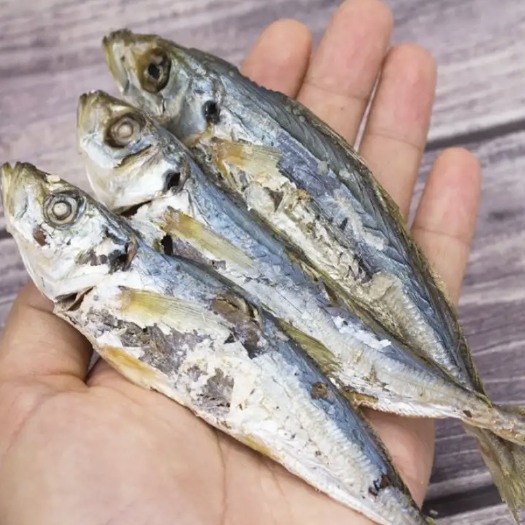 东山岛黄尾巴浪鱼干海鱼小鱼干淡晒即食海味可煮咸鱼干