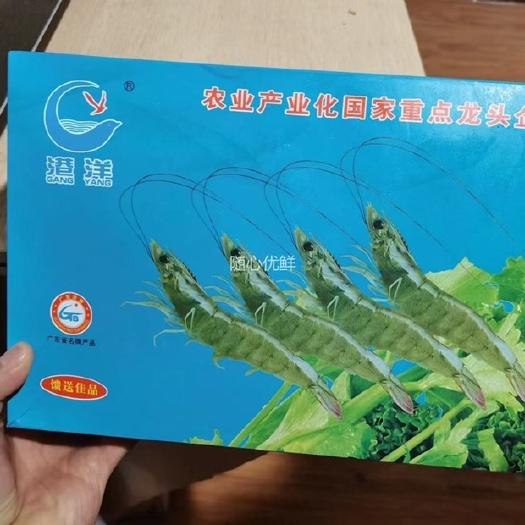 成都王-牌盐冻虾40-50规格