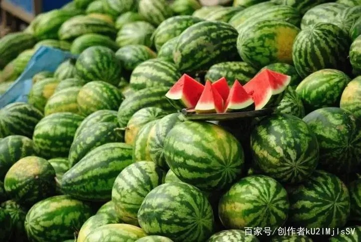 巴彦淖尔内蒙古巴彦淖尔三道桥沙瓤西瓜