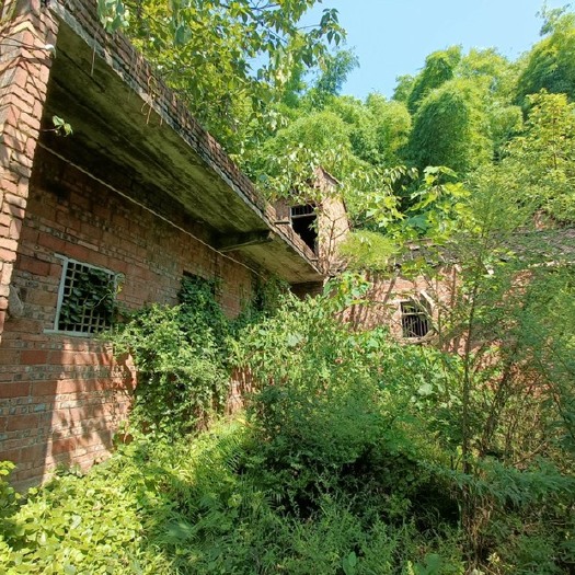 重庆市荣昌铜鼓镇300平私迷小院，独门独院，几面环山，植被好，坝子