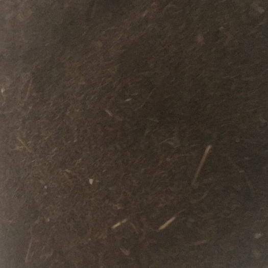 罗城县青蒿干叶，无杂质，水份少，产地货源
