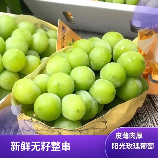 峨眉山市四川峨眉精品阳光玫瑰，商超品质上货中，支持一件代发代收量大