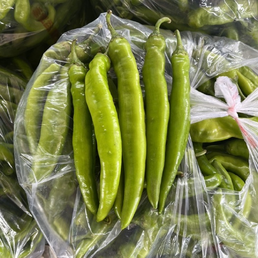 泰兴市薄皮椒