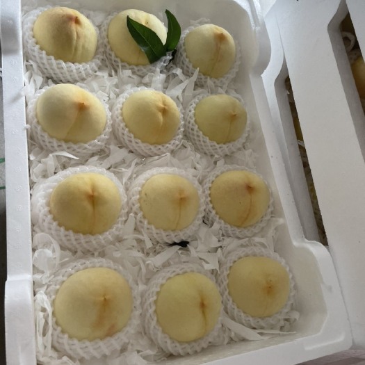 沂源县量大货好