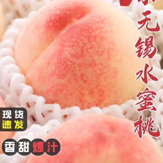 无锡阳山水蜜桃新鲜水果软桃现摘脆甜应季桃子孕妇水密桃礼盒
