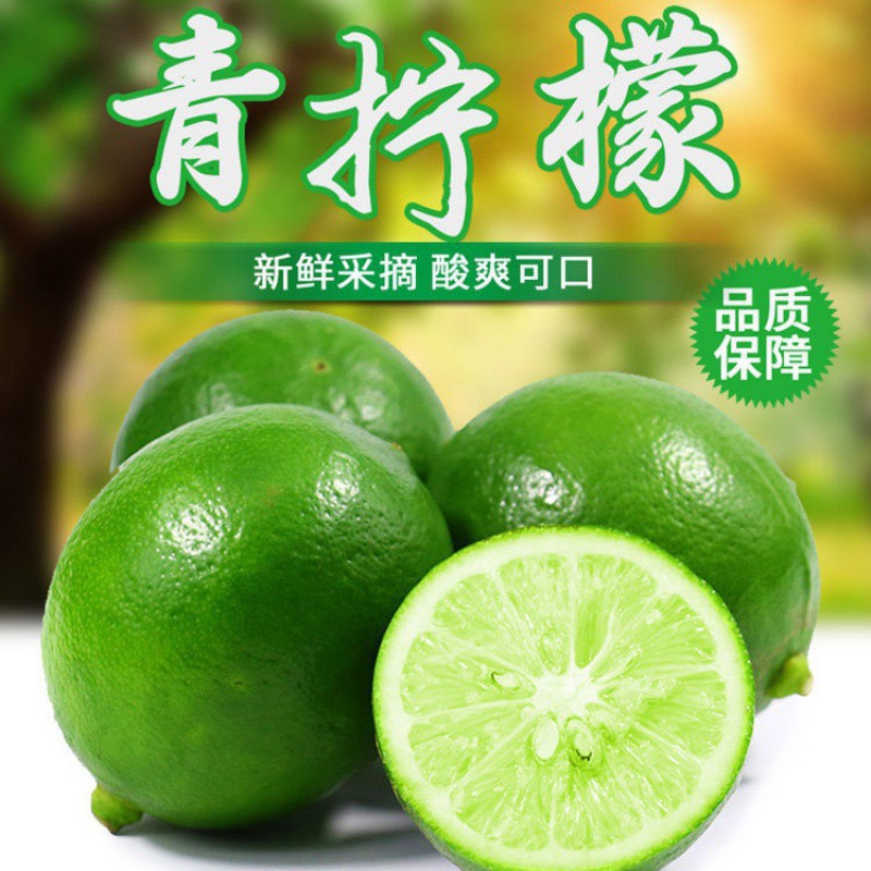 重庆北京青柠檬海南青柠檬奶茶专用1斤也是批发价