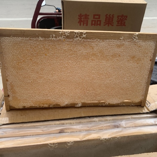 新郑市整张蜂巢蜜、新蜜脾、荆条巢蜜