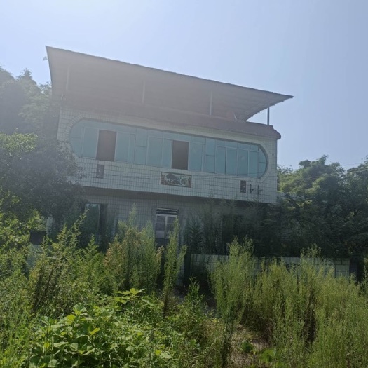 重庆市荣昌铜鼓镇，260平农家小院5000一年，独门独院，植被包围