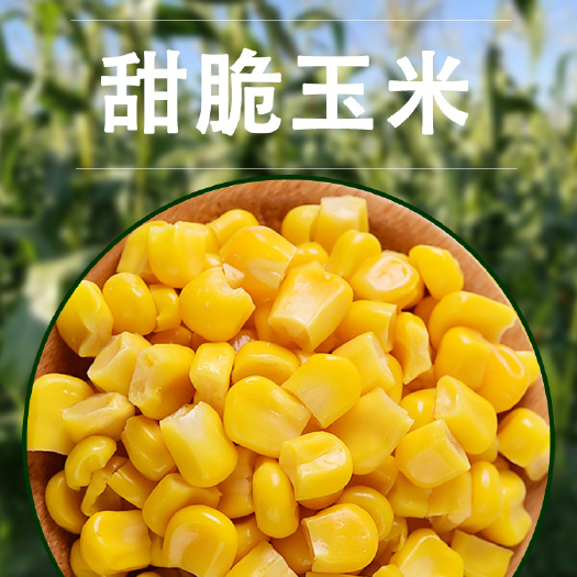 永城市水果玉米粒