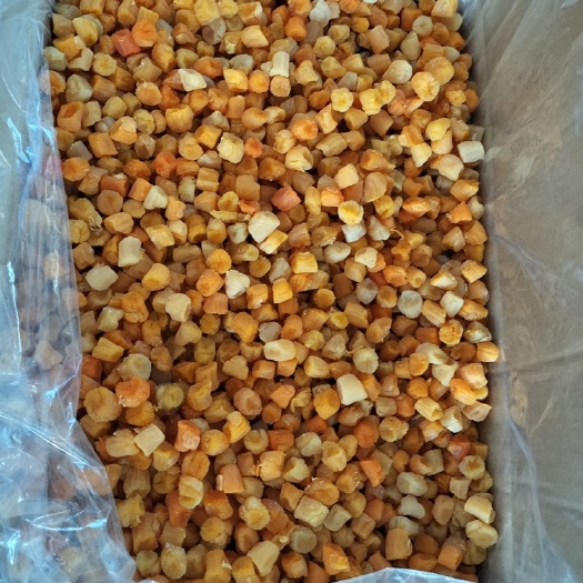 广州280头彩贝
