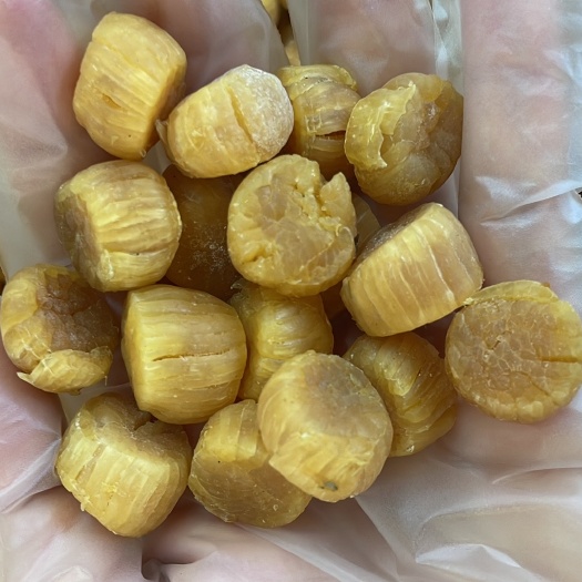 广州200头元贝