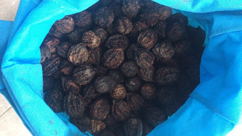 房县秋子，铁核桃，山核桃，野核桃