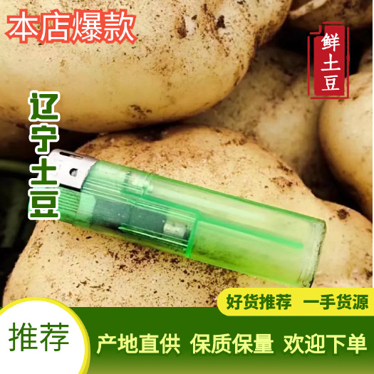 绥中县土豆！超九土豆大量有货！产地供货，一手货源！价格不高！