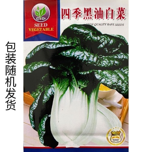 长沙黑油白菜种子