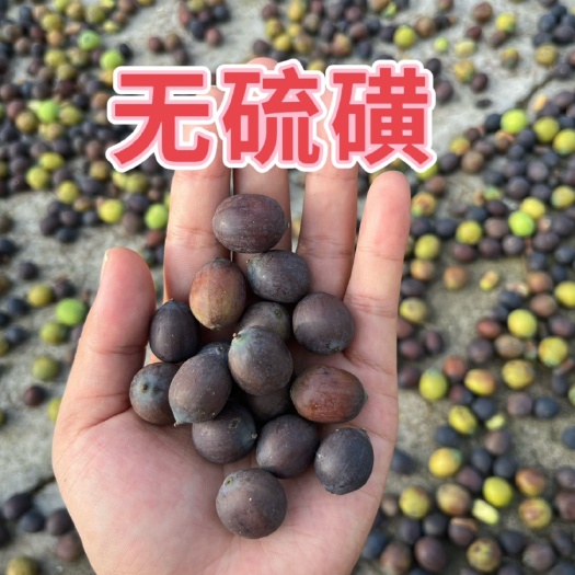 汉川市农家自种白莲子无硫磺熏，带芯白莲子，现货