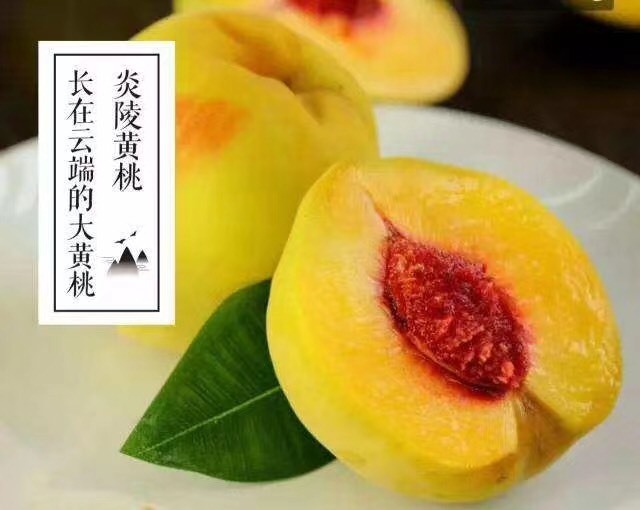 炎陵县黄金黄桃