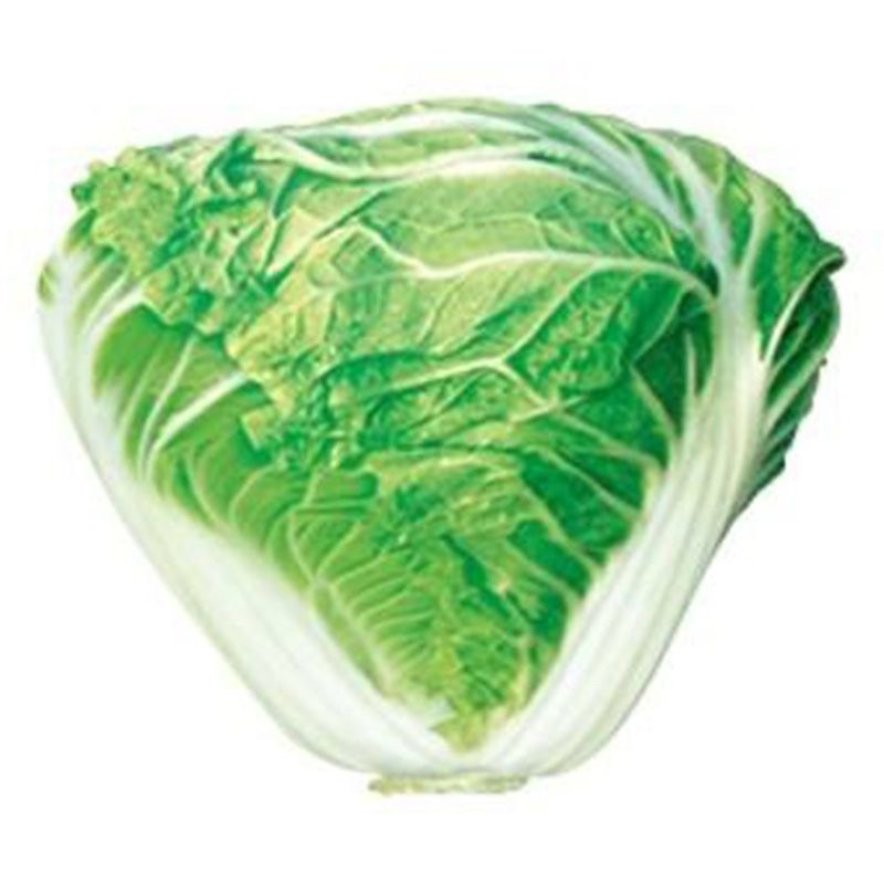 早熟5号白菜种子50天耐高温早熟抗病娃娃菜籽四季小白菜蔬菜种
