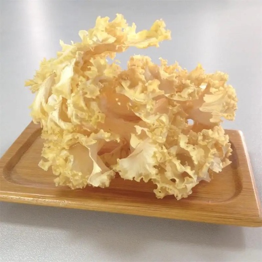 绣球菌、（新货干品）产地直销品质，保证各种规格，量大从优、