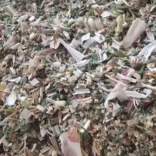 潜江市玉米青贮