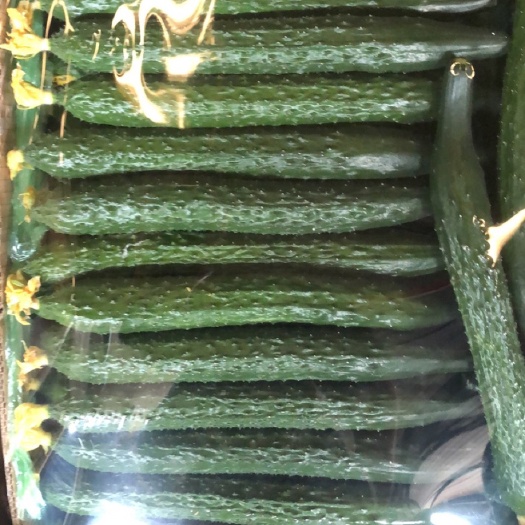 精品黄瓜
