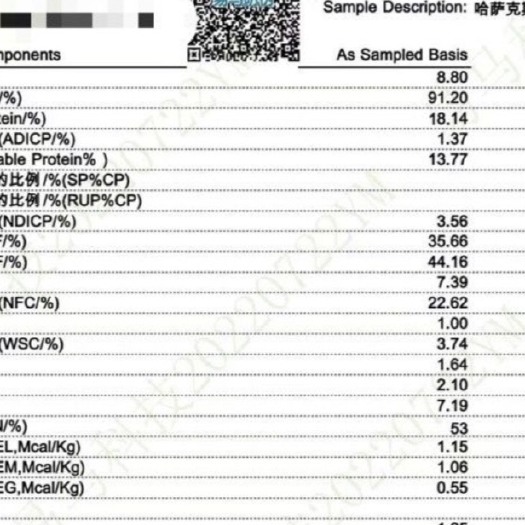 阿拉山口哈萨克斯坦RFV150苜蓿草