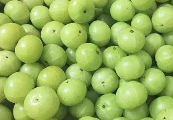 汕头潮汕青柑油柑果