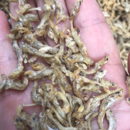 益阳干鱼