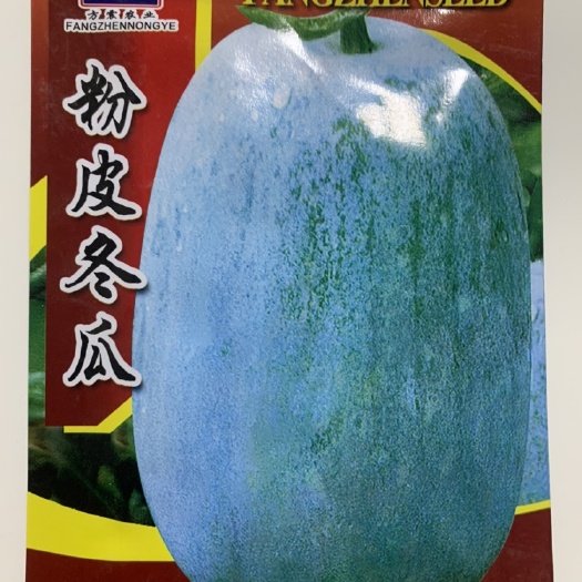 冬瓜种子特大巨型白皮冬瓜种孑粉皮黑皮大冬瓜田园四季易种瓜种子