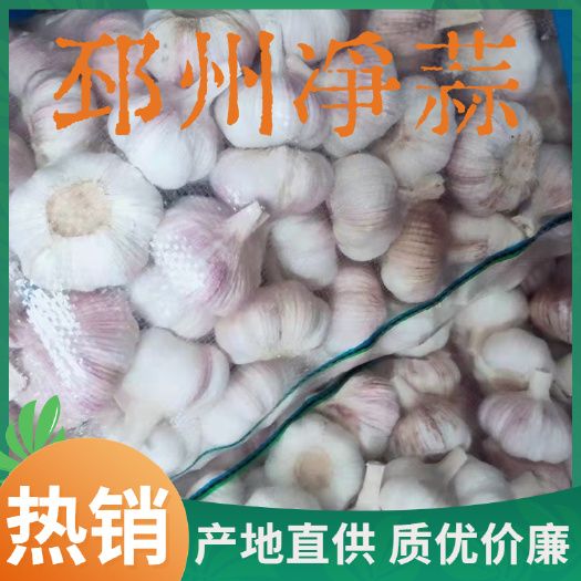 邳州市邳州精品大蒜