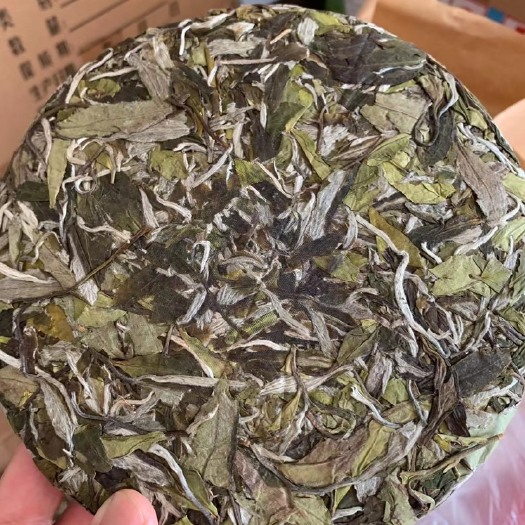 福安市白茶
