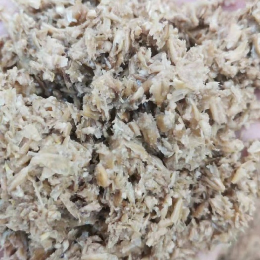 东莞市新鲜干爽啤酒糟￼￼