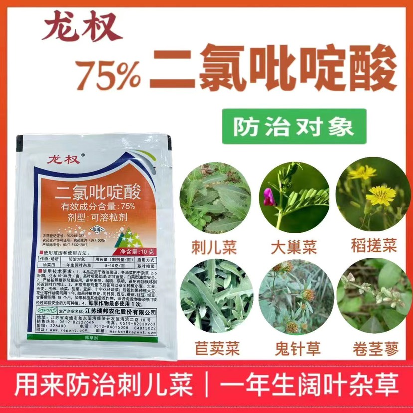 瑞邦龙权75%二氯吡啶酸油菜专用鬼针草刺儿菜防除一年生阔叶杂