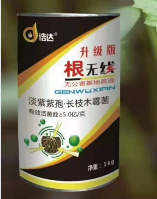 郑州根无线