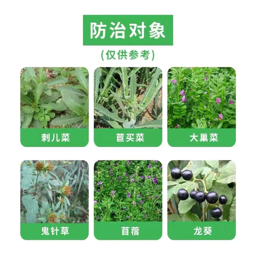 瑞邦龙权75%二氯吡啶酸油菜专用鬼针草刺儿菜防除一年生阔叶杂