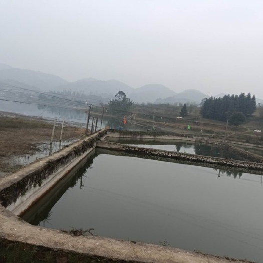 重庆市合川150亩鱼塘，证上面积100亩，高水位面积200亩, 有
