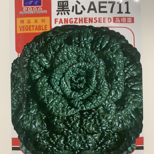 长沙乌塌菜种子高钙保健蔬菜养心菜菊花菜种子春秋四季播蔬菜农家易种