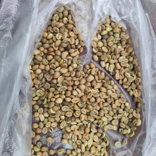 河口县越南咖啡豆
