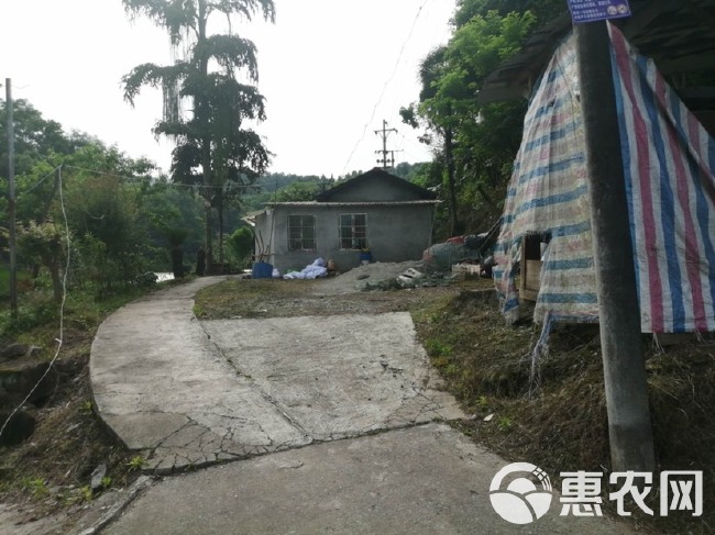 巴南60亩鱼塘 周围环境良好道路直达，水源山水设施设备齐全，