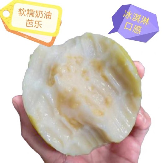 诏安县黄金奶油芭乐诏安本地冰淇凌口感