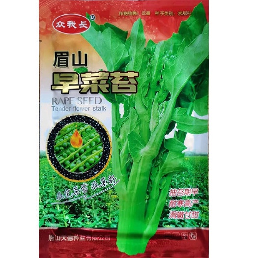 油菜苔种子一年四季油菜籽早熟耐寒农家易种四季蔬菜种子种籽