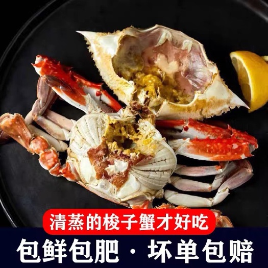 连云港【开海新货】新鲜鲜活梭子蟹活蟹冷冻超大公蟹海捕大青蟹海蟹