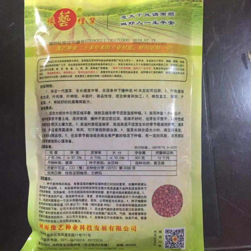 杂交大叶菠菜种子 牙率高 抗病耐暑 叶片肥厚