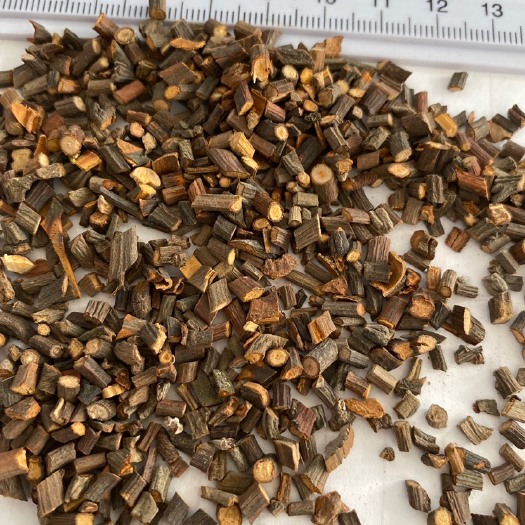 玉林精选桂枝嫩尖0.2桂枝桂皮
